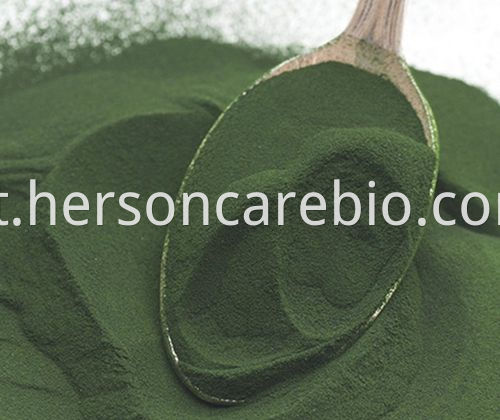 Spirulina Powder